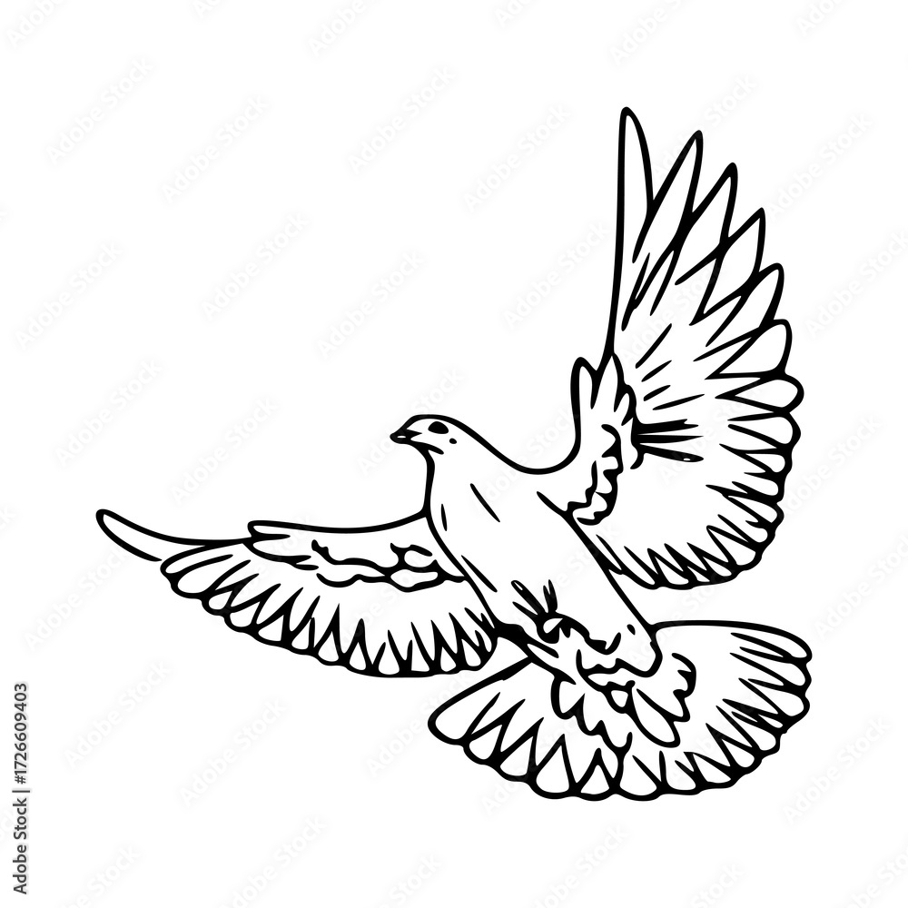 Fototapeta premium dove in flight line art