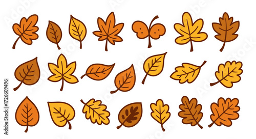 Assortment of simple, cute autumn leaf illustrations. Isolated vector graphic design elements for the fall season