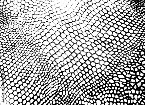 Textured Real Snake Skin Snakeskin Animal Print Transparent Overlay Background