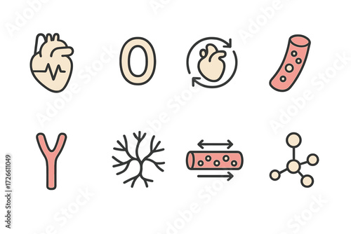 Minimalist medical icons set featuring heart, veins, cells, and circulation symbols