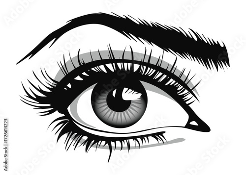 Beautiful female eye with big lashes and eyebrows. Eyeliner glamour makeup. Icon
