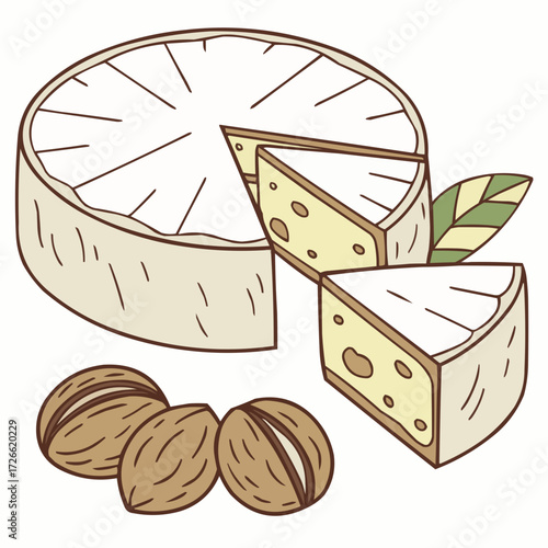 Cheese wheel with wedges and walnuts, symbolizing gourmet food and culinary enjoyment, hand-drawn illustration, copy space