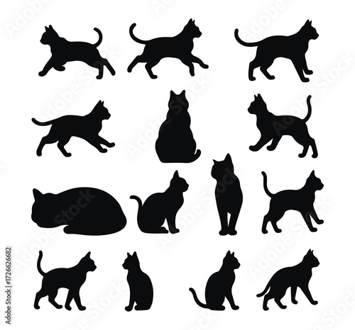 silhouette of a cat playing happily