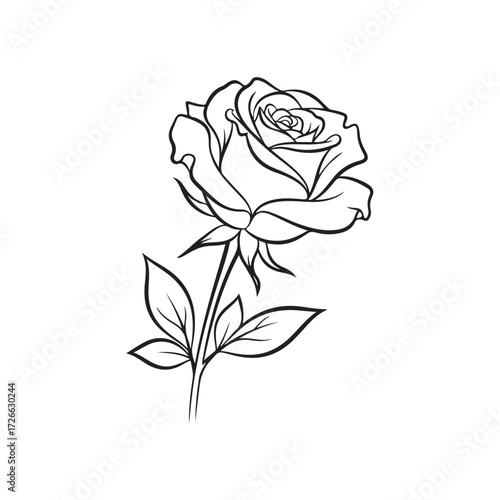 Delicate Rose Outline: An exquisite black and white line drawing showcases the intricate beauty of a single rose bloom, revealing its graceful petals and verdant leaves.