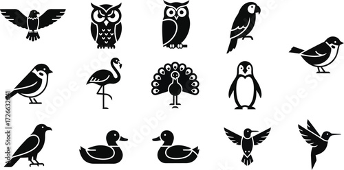 Collection of diverse bird silhouettes for design projects and nature themes