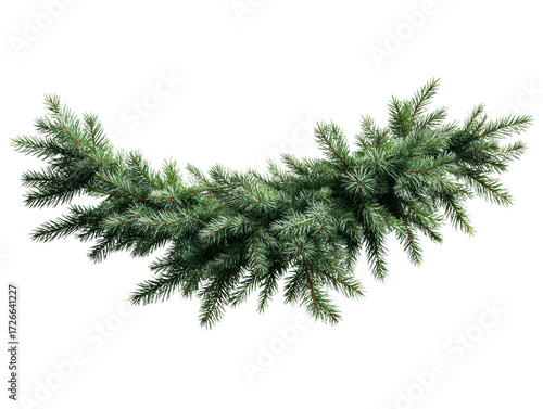 Green pine garland for festive decor and celebration purposes on a transparent background, cut out