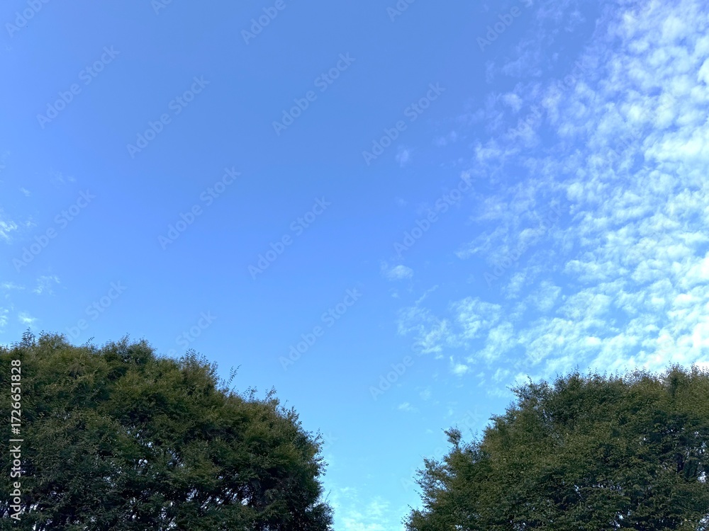 Obraz premium 空と雲