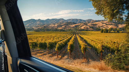 Vineyards stretch across rolling hills under a clear blue sky, a tranquil scene captured during a sunny afternoon drive in the countryside