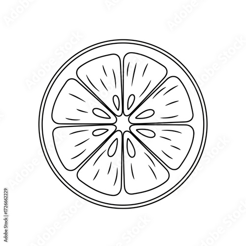 Citrus Fruit Slice Line Art Vector Illustration - Orange or Lemon Outline

