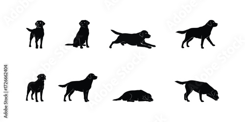 Labrador Dog Icon Set with Various Poses and Activities