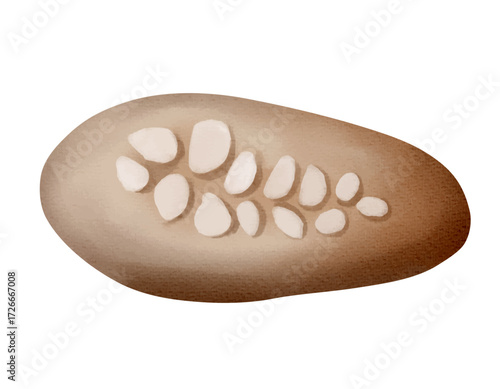A watercolor fossil on a stone. Delicate shades reveal the hidden bones. Perfect for nature illustrations.