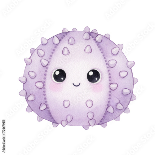 sea urchin