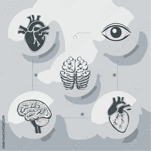 Anatomical Mind Map Exploring the Human Body's Key Organs