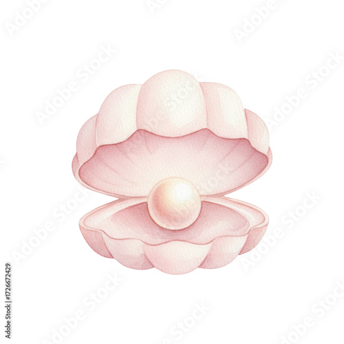 Seashell with Pearl