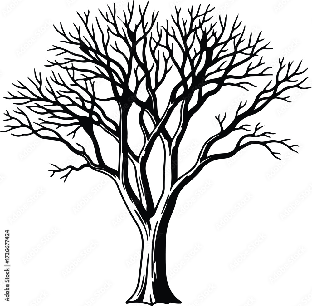 Obraz premium Vector bare tree branches winter season silhouette Illustrator