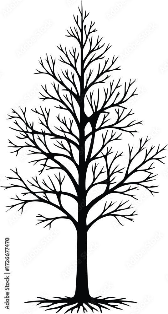Fototapeta premium Vector Bare tree silhouette autumnal isolated natural element Illustrator