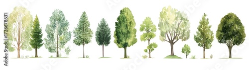 Collection of various tree shapes on white background