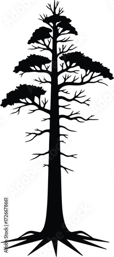 Vector Redwood tree bare branches roots single trunk silhouette Illustrator