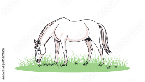 A horse grazes peacefully in a green meadow with copy space