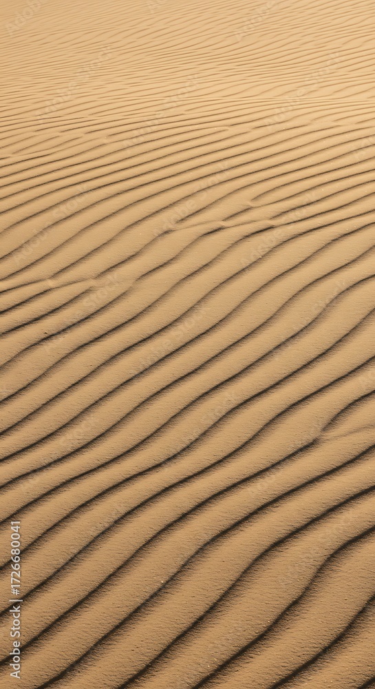 Obraz premium Captivating desert sand dunes showcase intricate rippling patterns creating a mesmerizing natural texture perfect for abstract backgrounds and serene landscapes.