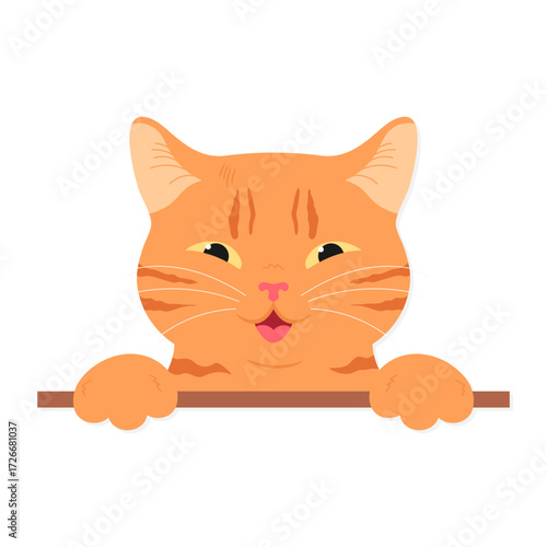 Cute ginger cat is peeking out of the table. Hiding cat face. Curious cat peeks out. Vector illustration