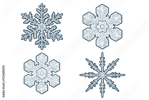 Set of four distinct winter snowflakes showcasing intricate ice crystal formations and frosty designs for seasonal decoration