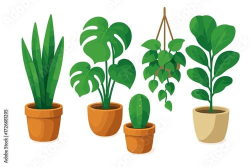 Diverse collection of popular indoor green house plants and desert succulents in various terracotta and ceramic pots on a white background