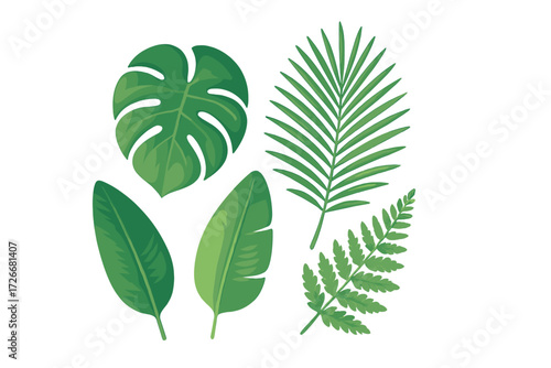 Vibrant green tropical foliage featuring monstera, banana, palm, and fern leaves on a clean white background