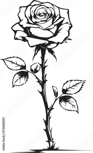 Elegant Rose Illustration: A delicate and artistic black and white illustration of a rose, rendered with intricate detail, highlighting the beauty and fragility of the flower.