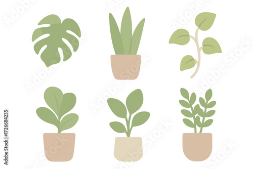 Collection of various green potted house plants and botanical elements including monstera leaf, aloe vera, and other succulents
