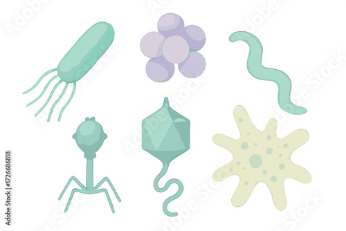 Diverse microscopic organisms for scientific education, featuring various bacteria, viruses, and protozoa