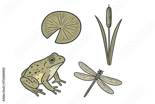 Assortment of freshwater pond life elements featuring a green frog, floating lily pad, tall cattail plant, and flying dragonfly