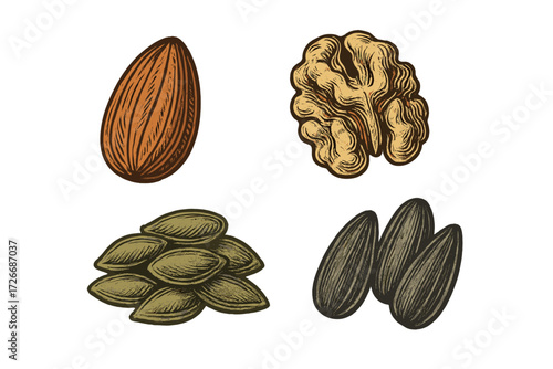 Assortment of healthy nuts and seeds including almond, walnut, pumpkin, and sunflower seeds for a balanced diet