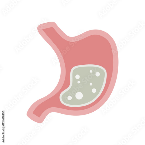Stomach medical icon flat vector design