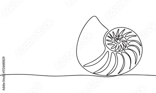 Nautilus Shell Continuous Line Drawing