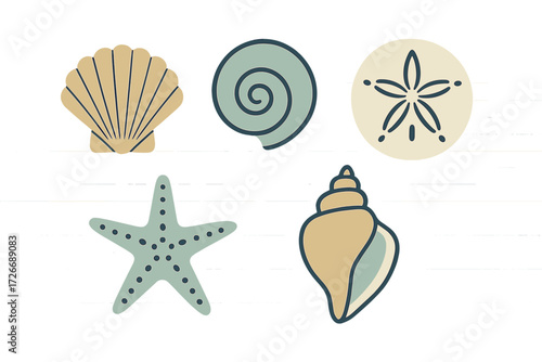 Assortment of marine life elements including scallop shell, spiral shell, conch, starfish, and sand dollar in a clean design