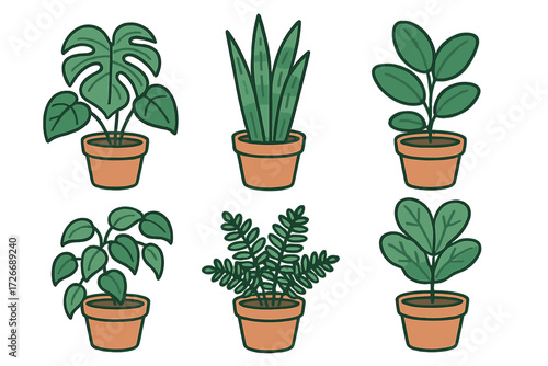 Assortment of diverse green potted houseplants including monstera, snake plant, and other foliage in terracotta pots, isolated on white
