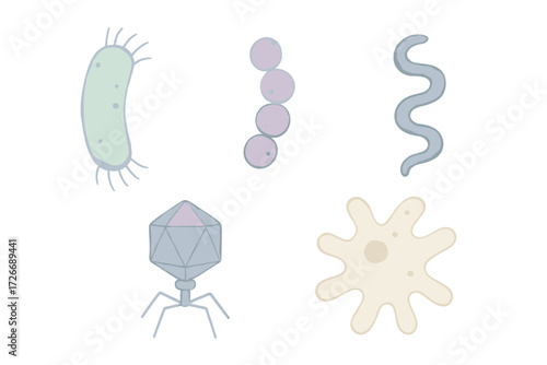 Detailed scientific representation of diverse microscopic organisms, including various bacteria, a virus, and an amoeba