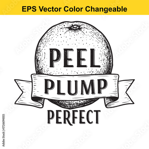 Vector art of hand drawn orange with text peel plump perfect