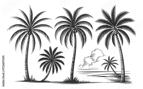 Tropical Palm Trees and Beach Scene Vector Illustration for Summer Vacation and Travel Designs Featuring Coconut Trees and Exotic Landscape