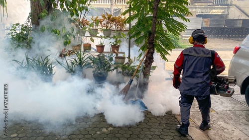 Fumigation mosquitoes of Zika virus and dengue fever prevention
