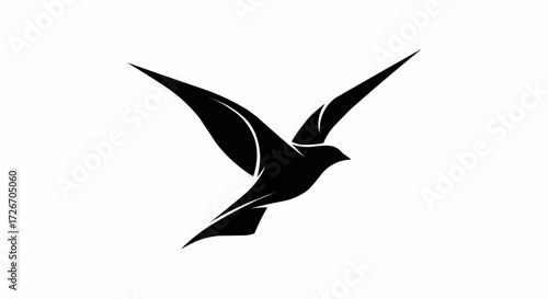 vector silhouette of a bird
