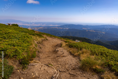 mountain landscape in the summer