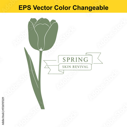 Vector art of green tulip with spring skin revival banner