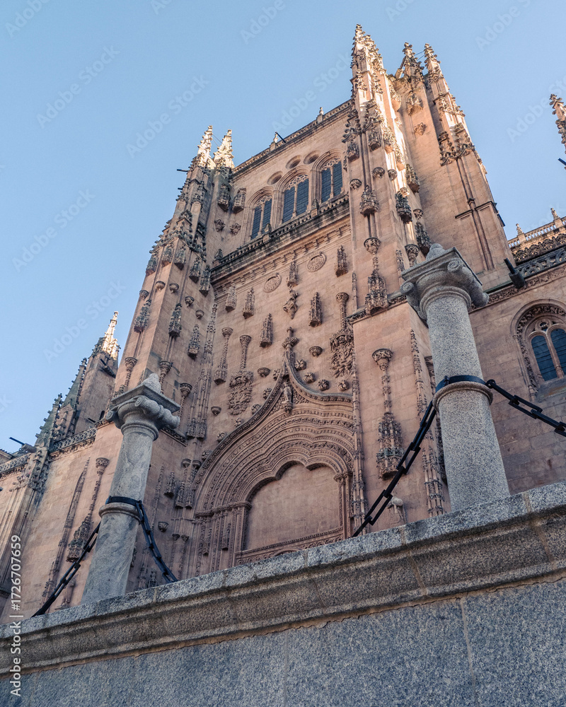 Naklejka premium Exterior view of Salamanca cathedra. Facade of Salamanca cathedral in spain, gothic and renaissance styles with dome and red entrance, UNESCO site