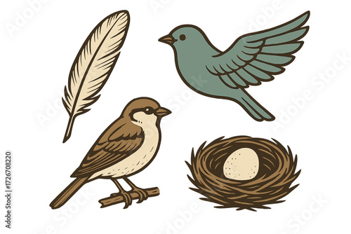 Detailed assortment of wild birds, including a flying bird and a perched sparrow, alongside a single feather and a bird's nest containing an egg
