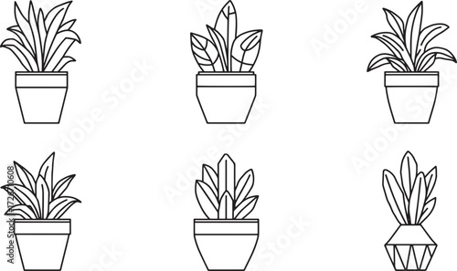 black and white vector of tree pot