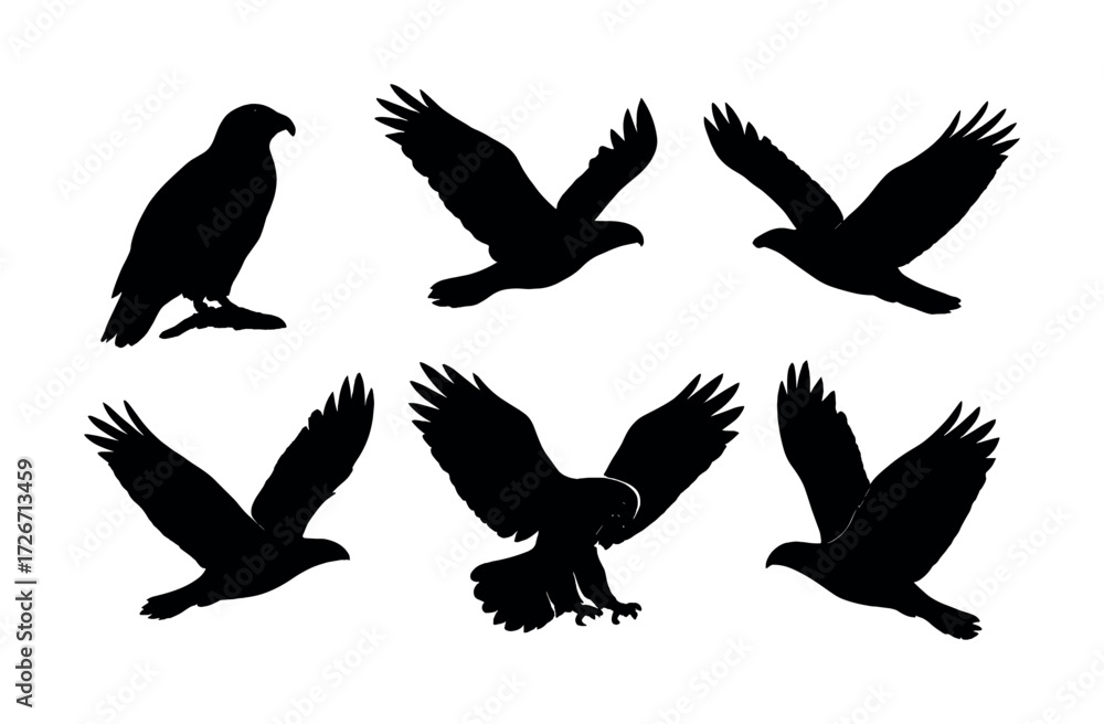 Obraz premium Silhouette of birds in various flight positions