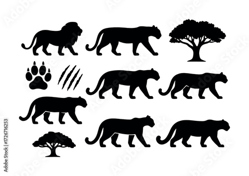 Silhouettes of big cats and trees with paw print and claw marks