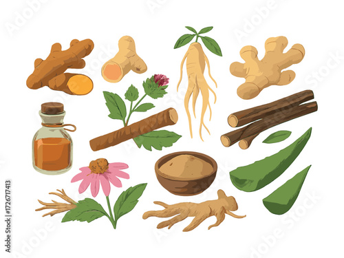 Herbal ingredients collection with aloe, ginseng, ginger, and essential oil